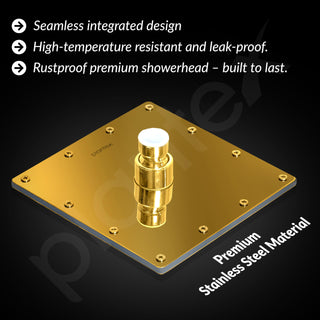 Plantex Stainless Steel Overhead Shower 6 x 6 inch with Water-Saving Technology/High pressure Rain Shower Head without Arm/Bathroom Shower -(Sandwich-PVD Gold)