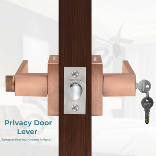 Plantex Door Lock/Heavy Duty Main Door Lock with 3 Key/Mortise Lock for Home/Office/Hotel - (9807-Copper Antique)