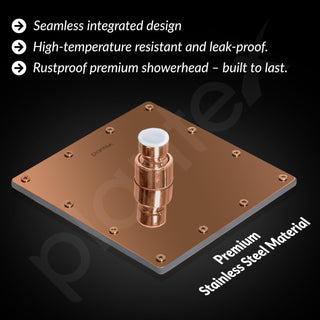 Plantex Stainless Steel Overhead Shower 6 x 6 inch with Water-Saving Technology/High pressure Rain Shower Head without Arm/Bathroom Shower -(Sandwich-PVD Rose Gold)