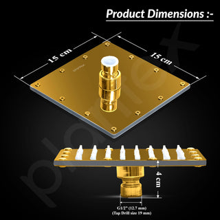 Plantex Stainless Steel Overhead Shower 6 x 6 inch with Water-Saving Technology/High pressure Rain Shower Head without Arm/Bathroom Shower -(Sandwich-PVD Gold)