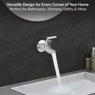 Plantex Pure Brass Bib Tap for Bathroom with Water-Saving Technology Taps/Wall Mount Bib Cock with Wall Flange and Teflon Tape-7 Year Warranty by Plantex (PRI-301 -Chrome Finish)