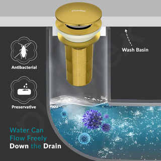 Plantex Pure Brass Waste Coupling/5 inch Drain Outlet System Full Thread Pop up Waste Coupling for Wash Basin (Glossy Gold - Pack of 1)