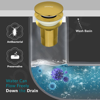 Plantex Solid Brass 3 Inch Waste Coupling for Wash Basin/Full Thread Basin Waste Coupling/Waste Coupling Gold- Pack of 1 (PVD Gold)