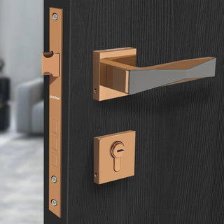 Door locks