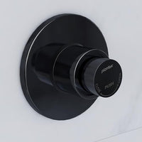 Flush Button
