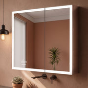 Plantex Luxury LED Mirror Cabinet for Bathroom/304 Grade Stainless Steel Bathroom Cabinet/Mirror for Bathroom with Double Door Cabinet (24x24 Inch-LED & Defogger/Chrome)