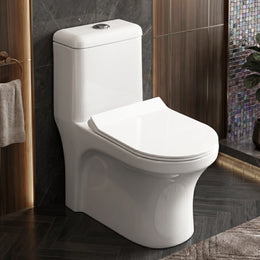 Plantex Siphonic Flush System Ceramic Commode/S Trap Western Toilet with Siphonic Vacuum Flush/One Piece Western Commode With Soft Close Toilet Seat (White - Ukrain)