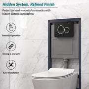 Plantex Flush -Plate/Push Plate for Toilet/Mechanical Dual-Flush Plate/Water Saving Technology - Pack of 1 (4511, Black)