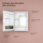 Plantex LED Mirror Cabinet for Bathroom/ABS Storage Cabinet/Mirror Cabinet for Wall/Mirror with Storage for Bathroom - 18x14 Inch (CAB-118, White)