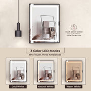 Plantex LED Mirror Cabinet for Bathroom/ABS Storage Cabinet/Mirror Cabinet for Wall/Mirror with Storage for Bathroom - 18x14 Inch (CAB-118, Black)