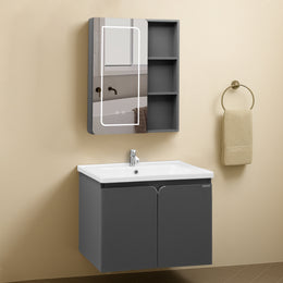 Plantex Stainless Steel Vanity for Bathroom/Rectangle Cabinet with Wash Basin and Mirror/Bathroom Organizer for Home - (NZBC-30)