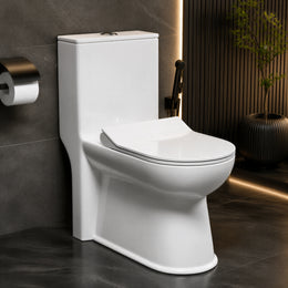 Plantex Commode for Toilet/Ceramic One Piece Western Toilet/Rimless Commode with Soft Closing Toilet Seat - S Trap Outlet (White)