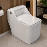 Plantex Imported Platinum One Piece Western Commode for Toilet/Rimless Siphonic Vaccum Commode with Soft Close Toilet Seat Cover - S Trap Outlet (White)