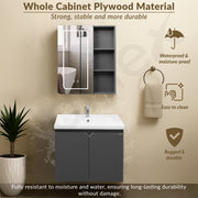 Plantex Stainless Steel Vanity for Bathroom/Rectangle Cabinet with Wash Basin and Mirror/Bathroom Organizer for Home - (NZBC-30)