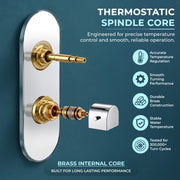 Plantex 3 Way Thermostatic Shower Diverter/Pure Brass Concealed & Exposed 3-Outlet Mixer Valve Body/Multi-Function Bathroom Diverter with Button Control - Chrome (TSP-095A)