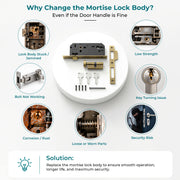 Plantex Mortise Door Lock Set with Brass Cylinder & Keys/Heavy-Duty Main Door Lock Body - Pack of 1 (Brass Antique)