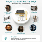 Plantex Mortise Door Lock Set with Brass Cylinder & Keys/Heavy-Duty Main Door Lock Body - Pack of 1 (PVD Gold)