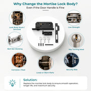 Plantex Mortise Door Lock Set with Brass Cylinder & Keys/Heavy-Duty Main Door Lock Body - Pack of 1 (Z-Black)