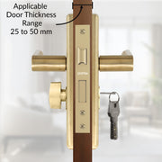 Plantex Door Lock Set - Main Door Lock Plate Handle Set/Mortise Lock with 3 Keys/Lock Body and Cylinder - Pack of 1 (OHMH-81, Brass Antique)