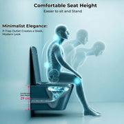 Plantex Imported Ceramic Wall Hung Commode for Toilet/Rimless Washdown Flushing/Western Commode with Soft Closing Toilet Seat - P Trap - (Pine Blue)