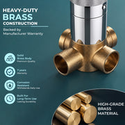Plantex Brass Single Knob Shower Diverter with One Switch/Innovative Bathroom Mixer Valve/Cost-Effective Wall Mount Shower System Fitting - (Chrome, 8091)