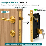Plantex Mortise Door Lock Set with Brass Cylinder & Keys/Heavy-Duty Main Door Lock Body - Pack of 1 (PVD Gold)