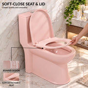 Plantex Platinum Ceramic Rimless Western Commode/Washdown One Piece Western Toilet with Soft Close Toilet Seat Cover - S Trap Outlet (Peach - Matt Finish)