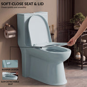 Plantex Platinum Ceramic One Piece Western Toilet/Rimless Washdown Commode for Toilet/Commode With Soft Close Toilet Seat - S Trap Outlet (Ocean)