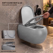 Plantex Imported Ceramic Wall Mounted Commode/Rimless Washdown Western Commode Toilet/Western Toilet with Soft Close Seat Cover - P Trap (Matt Grey)