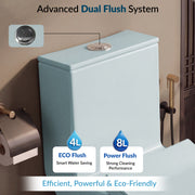 Plantex Platinum Ceramic One Piece Western Toilet/Rimless Washdown Commode for Toilet/Commode With Soft Close Toilet Seat - S Trap Outlet (Ocean)