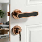 Plantex Door Lock Set with Keys/Mortise Door Lock for Home/Office/Hotel - Pack of 1 (OHMH-21, PVD Rose Gold & Black)