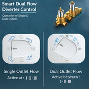 Plantex 3 Way Thermostatic Shower Diverter/Pure Brass Concealed & Exposed 3-Outlet Mixer Valve Body/Multi-Function Bathroom Diverter with Button Control - Chrome (TSP-095A)