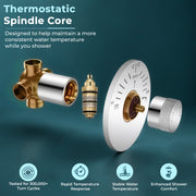 Plantex Brass Single Knob Shower Diverter with One Switch/Innovative Bathroom Mixer Valve/Cost-Effective Wall Mount Shower System Fitting - (Chrome, 8091)