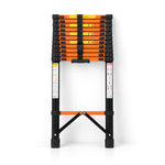 Telescopic Ladder