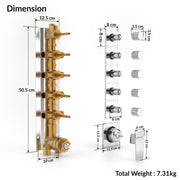 Plantex 5 Way Thermostatic Shower Diverter/Pure Brass Concealed & Exposed 5-Outlet Mixer Valve Body/Multi-Function Bathroom Diverter with Button Control - (Kubix Primium-2589)