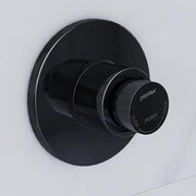 Plantex Pure Brass 40mm Thread Diameter Metropole Flush Valve for Toilet/Toilet Flush/Flush Valve for Urinal Commercial and Residential Use -(ALD-1302-Black)