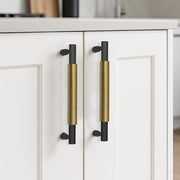 Plantex Cabinet Handle/Kitchen Cabinet Door Handle/Wardrobe/160 mm Cupboard Handle/Door Pull-Push Handle for Home/Office - Pack of 2 (Brass Antique)