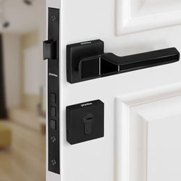 Plantex Mortise Door Lock for Main Door/Premium Handle Lock Set for Home with 3 Years Warranty by Plantex (Black)