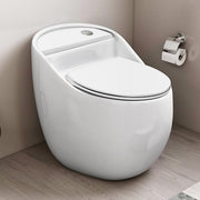 Plantex Imported Platinum Ceramic One Piece Commode Toilet/Rimless Commode/Siphonic Flush Western Toilet with Soft Close Toilet Seat - S Trap (White)