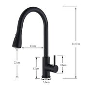 Plantex Stainless Steel 304 Single Lever Kitchen Tap/Hot & Cold-Water Mixer Tap with Flexible 360Ãƒâ€šÃ‚Â° Swivel Spout/Deck Mounted (8424-Black)