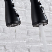 Plantex Stainless Steel 304 Single Lever Kitchen Tap/Hot & Cold-Water Mixer Tap with Flexible 360Ãƒâ€šÃ‚Â° Swivel Spout/Deck Mounted (8424-Black)