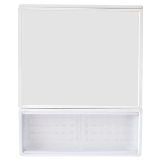 Plantex Forever Multi-Purpose Plastic Bathroom Cabinet with Mirror Door/Bathroom Accessories(C-113-White)