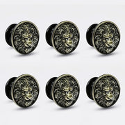 Plantex Lion Face Drawer Knobs for Kitchen Cabinet, Wardrobe - Round Pulls Handles - Pack of 6 (Brass-Antique)