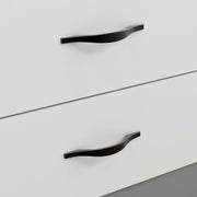 Plantex Cabinet Handle/96mm Handle for Drawer/Wardrobe/Kitchen Handle/Pull-Push Handle for Home/Office - Pack of 2 (Black)