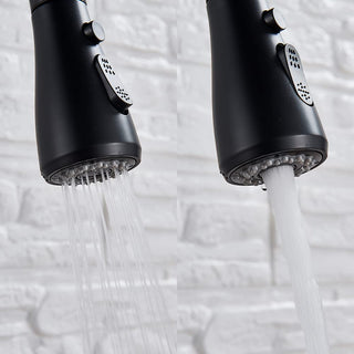 Plantex Stainless Steel 304 Single Lever Kitchen Tap/Hot & Cold-Water Mixer Tap with Flexible 360° Swivel Spout/Deck Mounted (8424-Black)