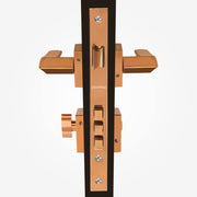 Plantex Premium Door Lock with 3 Years of Warranty/Main Door Locks for Home/Mortise Lock Set for Home (7101 - PVD Choco)