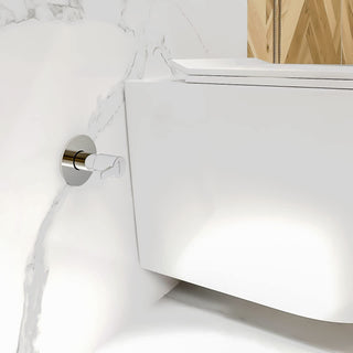 Plantex Pure Brass FLO-820 Flush Cock with Teflon Tape & Adjustable Brass Wall Flange - 25 mm (Mirror-Chrome Finish)