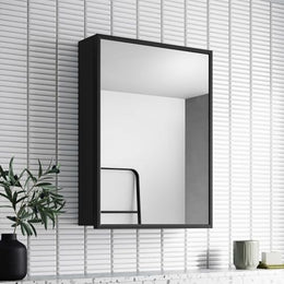 Plantex Aluminium Framed Bathroom Cabinet with Mirror/Heavy-Duty Steel Body Bathroom Storage Organizer/Shelf - 12x18 Inch, Black
