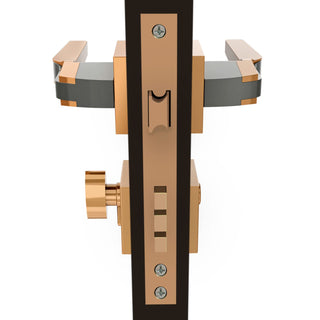 Plantex Heavy Duty -Mortise Door Lock/Door Lock for Main Door/Bedroom/Home/Office/Hotel-3 Brass Keys (7064 - PVD-Choco & Satin Black Matt)