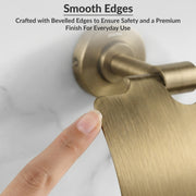 Plantex 304 Grade Stainless Steel Toilet Paper Roll Holder for Bathroom/Tissue Paper Holder/Bathroom Accessories - Daizy (Antique)
